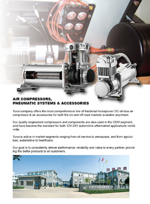 1/4 NPT Suspension Onboard Air Systems อุปกรณ์อัดอากาศทองแดง PSI Safety Valve