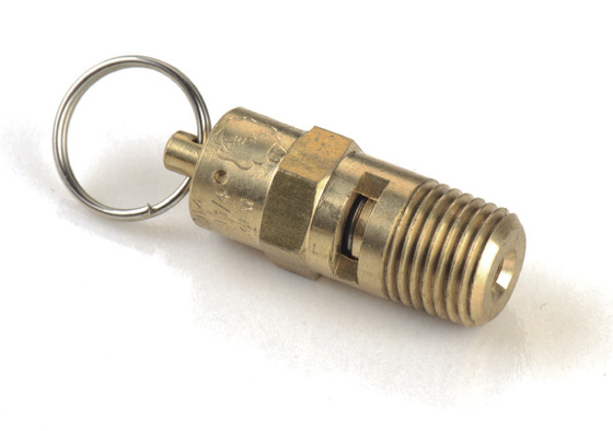 ราคาดี 1/4 NPT Suspension Onboard Air Systems อุปกรณ์อัดอากาศทองแดง PSI Safety Valve ออนไลน์